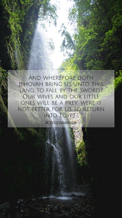 Picture 07 - Numbers 14:3 ASV Mobile Phone Wallpaper - And wherefore doth Jehovah bring us unto this - Mobile Bible Verse Wallpaper