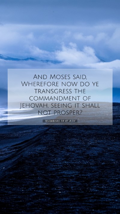 Picture 07 - Numbers 14:41 ASV Mobile Phone Wallpaper - And Moses said, Wherefore now do ye transgress - Mobile Bible Verse Wallpaper