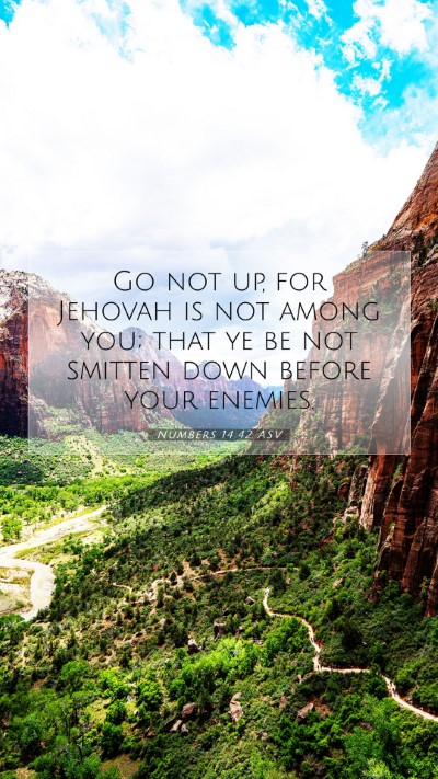 Picture 07 - Numbers 14:42 ASV Mobile Phone Wallpaper - Go not up, for Jehovah is not among you; that ye - Mobile Bible Verse Wallpaper