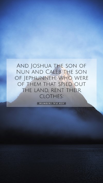 Picture 07 - Numbers 14:6 ASV Mobile Phone Wallpaper - And Joshua the son of Nun and Caleb the son of - Mobile Bible Verse Wallpaper