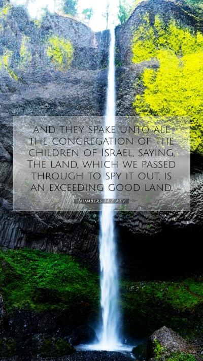 Picture 07 - Numbers 14:7 ASV Mobile Phone Wallpaper - and they spake unto all the congregation of the - Mobile Bible Verse Wallpaper