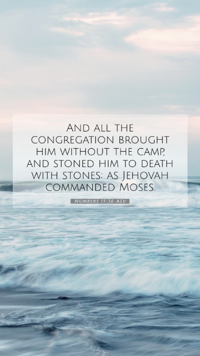 Picture 07 - Numbers 15:36 ASV Mobile Phone Wallpaper - And all the congregation brought him without the - Mobile Bible Verse Wallpaper