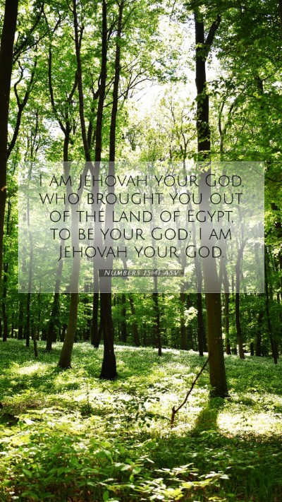 Picture 07 - Numbers 15:41 ASV Mobile Phone Wallpaper - I am Jehovah your God, who brought you out of the - Mobile Bible Verse Wallpaper