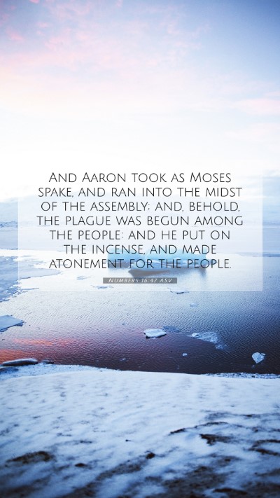 Picture 07 - Numbers 16:47 ASV Mobile Phone Wallpaper - And Aaron took as Moses spake, and ran into the - Mobile Bible Verse Wallpaper