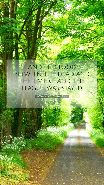 Picture 07 - Numbers 16:48 ASV Mobile Phone Wallpaper - And he stood between the dead and the living; and - Mobile Bible Verse Wallpaper