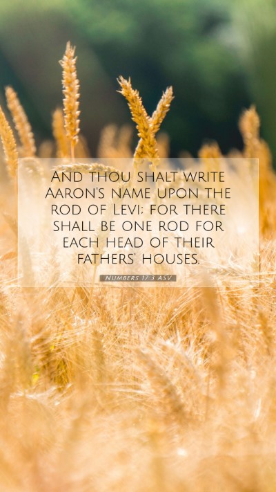 Picture 07 - Numbers 17:3 ASV Mobile Phone Wallpaper - And thou shalt write Aaron's name upon the rod of - Mobile Bible Verse Wallpaper