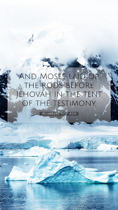 Picture 07 - Numbers 17:7 ASV Mobile Phone Wallpaper - And Moses laid up the rods before Jehovah in the - Mobile Bible Verse Wallpaper
