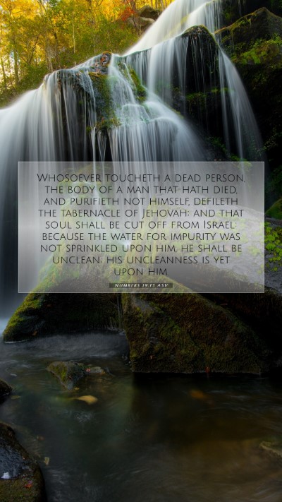 Picture 07 - Numbers 19:13 ASV Mobile Phone Wallpaper - Whosoever toucheth a dead person, the body of a - Mobile Bible Verse Wallpaper