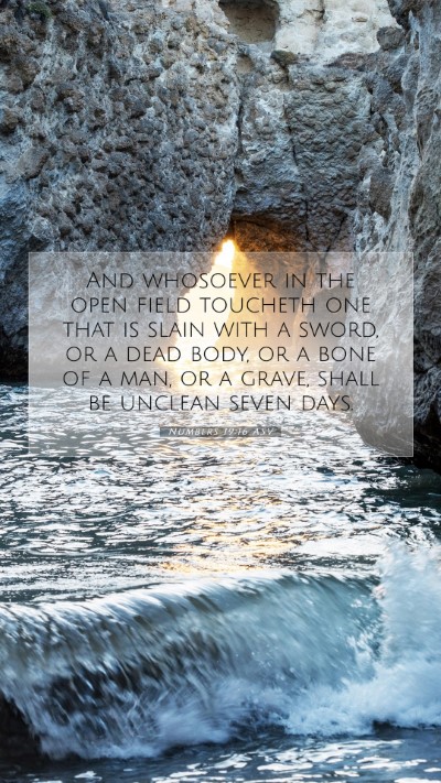 Picture 07 - Numbers 19:16 ASV Mobile Phone Wallpaper - And whosoever in the open field toucheth one that - Mobile Bible Verse Wallpaper