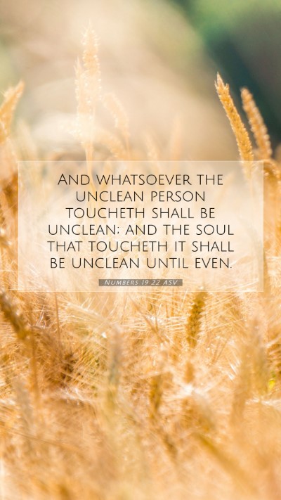 Picture 07 - Numbers 19:22 ASV Mobile Phone Wallpaper - And whatsoever the unclean person toucheth shall - Mobile Bible Verse Wallpaper