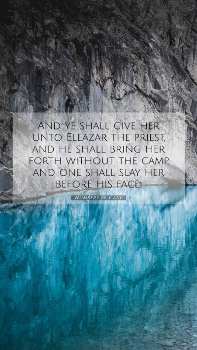 Picture 07 - Numbers 19:3 ASV Mobile Phone Wallpaper - And ye shall give her unto Eleazar the priest, - Mobile Bible Verse Wallpaper