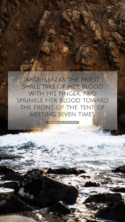 Picture 07 - Numbers 19:4 ASV Mobile Phone Wallpaper - and Eleazar the priest shall take of her blood - Mobile Bible Verse Wallpaper