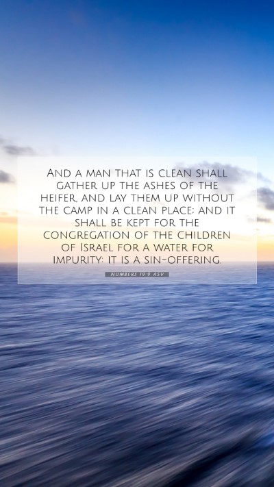 Picture 07 - Numbers 19:9 ASV Mobile Phone Wallpaper - And a man that is clean shall gather up the ashes - Mobile Bible Verse Wallpaper