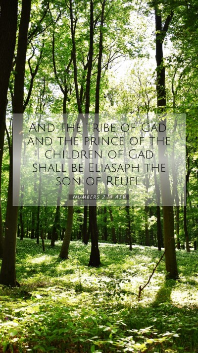 Picture 07 - Numbers 2:14 ASV Mobile Phone Wallpaper - And the tribe of Gad: and the prince of the - Mobile Bible Verse Wallpaper