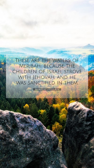 Picture 07 - Numbers 20:13 ASV Mobile Phone Wallpaper - These are the waters of Meribah; because the - Mobile Bible Verse Wallpaper