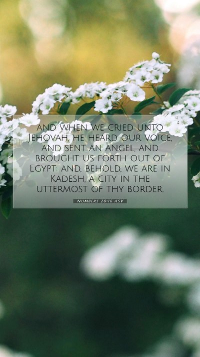 Picture 07 - Numbers 20:16 ASV Mobile Phone Wallpaper - and when we cried unto Jehovah, he heard our - Mobile Bible Verse Wallpaper