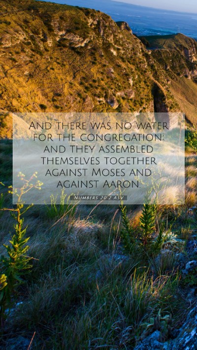 Picture 07 - Numbers 20:2 ASV Mobile Phone Wallpaper - And there was no water for the congregation: and - Mobile Bible Verse Wallpaper