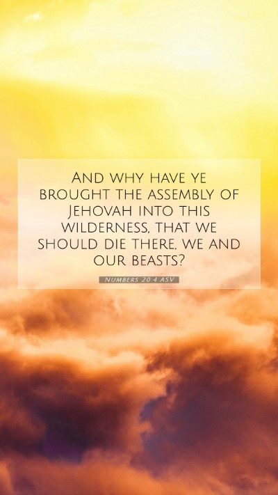 Picture 07 - Numbers 20:4 ASV Mobile Phone Wallpaper - And why have ye brought the assembly of Jehovah - Mobile Bible Verse Wallpaper