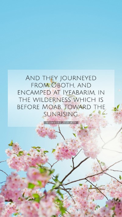 Picture 07 - Numbers 21:11 ASV Mobile Phone Wallpaper - And they journeyed from Oboth, and encamped at - Mobile Bible Verse Wallpaper