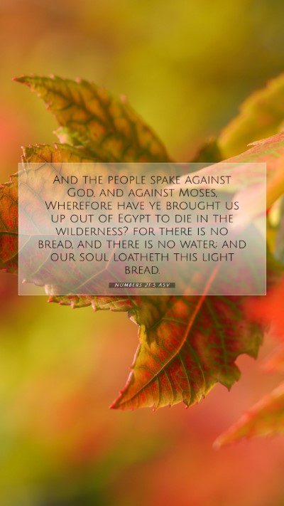 Picture 07 - Numbers 21:5 ASV Mobile Phone Wallpaper - And the people spake against God, and against - Mobile Bible Verse Wallpaper