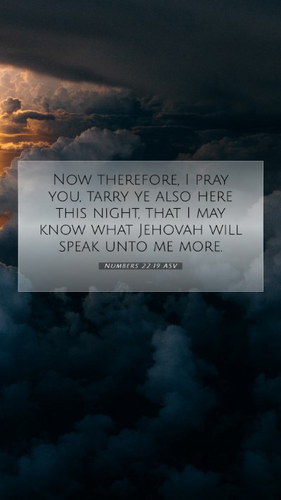 Picture 07 - Numbers 22:19 ASV Mobile Phone Wallpaper - Now therefore, I pray you, tarry ye also here - Mobile Bible Verse Wallpaper