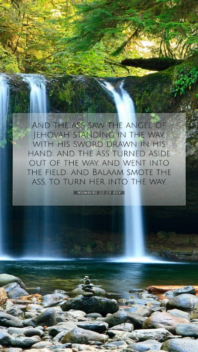 Picture 07 - Numbers 22:23 ASV Mobile Phone Wallpaper - And the ass saw the angel of Jehovah standing in - Mobile Bible Verse Wallpaper