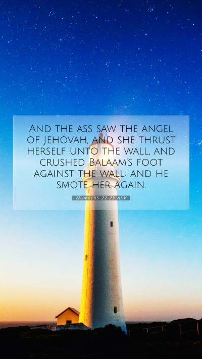 Picture 07 - Numbers 22:25 ASV Mobile Phone Wallpaper - And the ass saw the angel of Jehovah, and she - Mobile Bible Verse Wallpaper