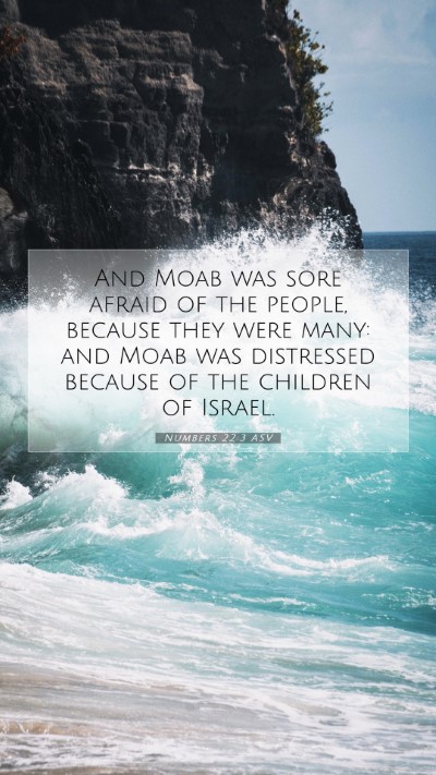Picture 07 - Numbers 22:3 ASV Mobile Phone Wallpaper - And Moab was sore afraid of the people, because - Mobile Bible Verse Wallpaper