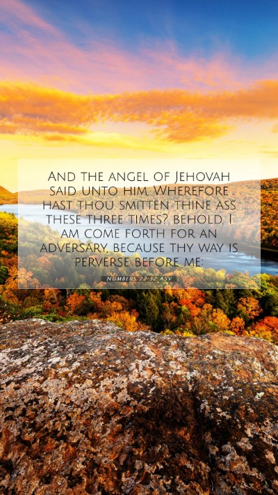 Picture 07 - Numbers 22:32 ASV Mobile Phone Wallpaper - And the angel of Jehovah said unto him, Wherefore - Mobile Bible Verse Wallpaper
