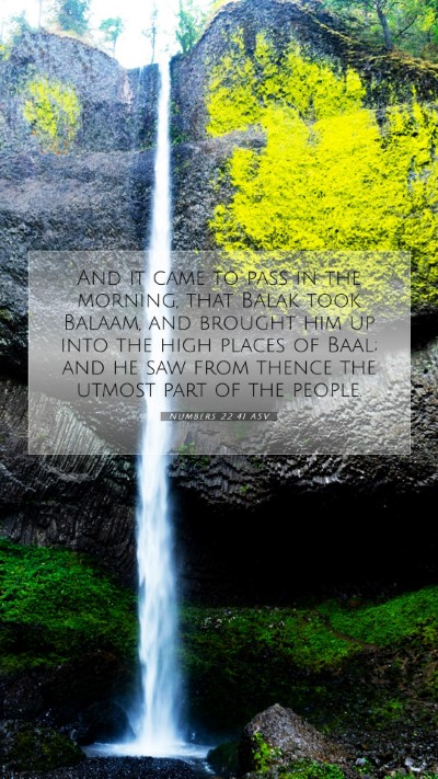 Picture 07 - Numbers 22:41 ASV Mobile Phone Wallpaper - And it came to pass in the morning, that Balak - Mobile Bible Verse Wallpaper