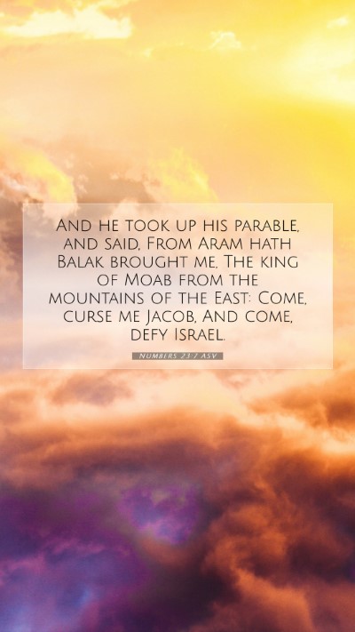 Picture 07 - Numbers 23:7 ASV Mobile Phone Wallpaper - And he took up his parable, and said, From Aram - Mobile Bible Verse Wallpaper