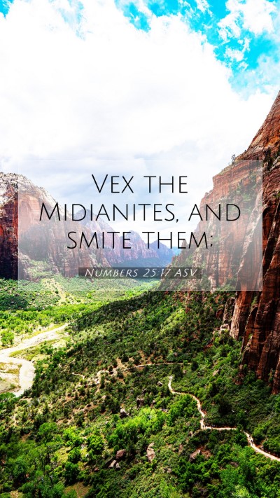 Picture 07 - Numbers 25:17 ASV Mobile Phone Wallpaper - Vex the Midianites, and smite - Mobile Bible Verse Wallpaper