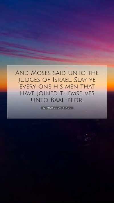 Picture 07 - Numbers 25:5 ASV Mobile Phone Wallpaper - And Moses said unto the judges of Israel, Slay ye - Mobile Bible Verse Wallpaper