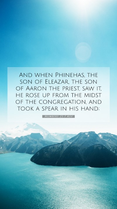 Picture 07 - Numbers 25:7 ASV Mobile Phone Wallpaper - And when Phinehas, the son of Eleazar, the son of - Mobile Bible Verse Wallpaper