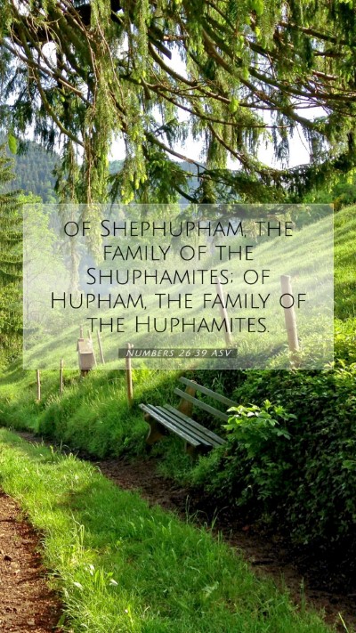 Picture 07 - Numbers 26:39 ASV Mobile Phone Wallpaper - of Shephupham, the family of the Shuphamites; of - Mobile Bible Verse Wallpaper