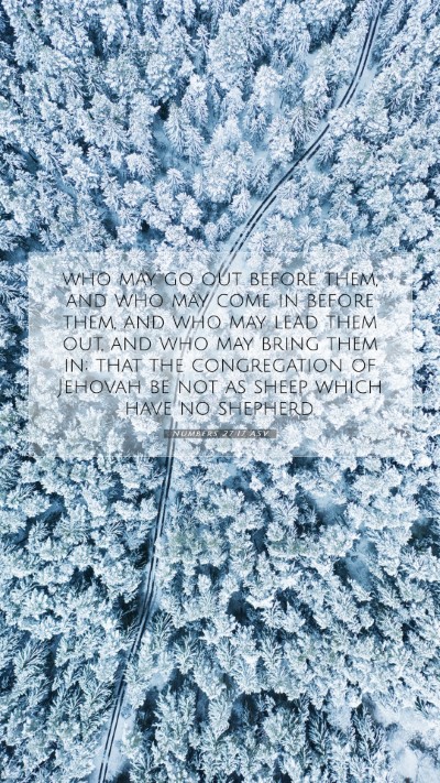 Picture 07 - Numbers 27:17 ASV Mobile Phone Wallpaper - who may go out before them, and who may come in - Mobile Bible Verse Wallpaper