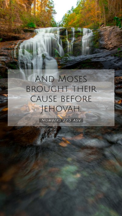 Picture 07 - Numbers 27:5 ASV Mobile Phone Wallpaper - And Moses brought their cause before - Mobile Bible Verse Wallpaper