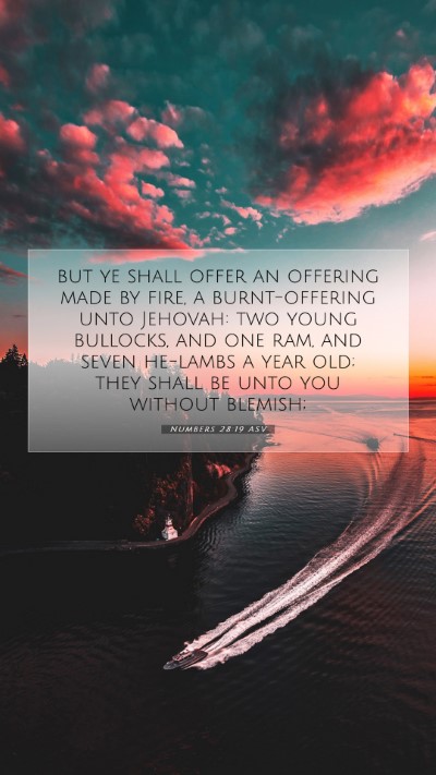 Picture 07 - Numbers 28:19 ASV Mobile Phone Wallpaper - but ye shall offer an offering made by fire, a - Mobile Bible Verse Wallpaper