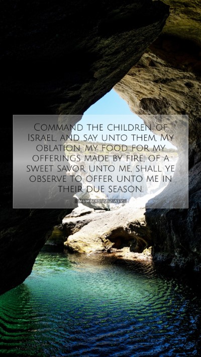 Picture 07 - Numbers 28:2 ASV Mobile Phone Wallpaper - Command the children of Israel, and say unto - Mobile Bible Verse Wallpaper