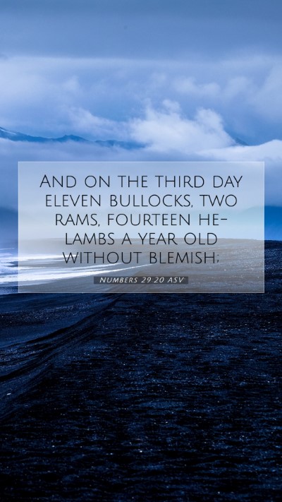 Picture 07 - Numbers 29:20 ASV Mobile Phone Wallpaper - And on the third day eleven bullocks, two rams, - Mobile Bible Verse Wallpaper