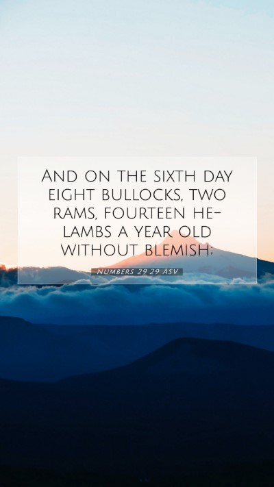Picture 07 - Numbers 29:29 ASV Mobile Phone Wallpaper - And on the sixth day eight bullocks, two rams, - Mobile Bible Verse Wallpaper