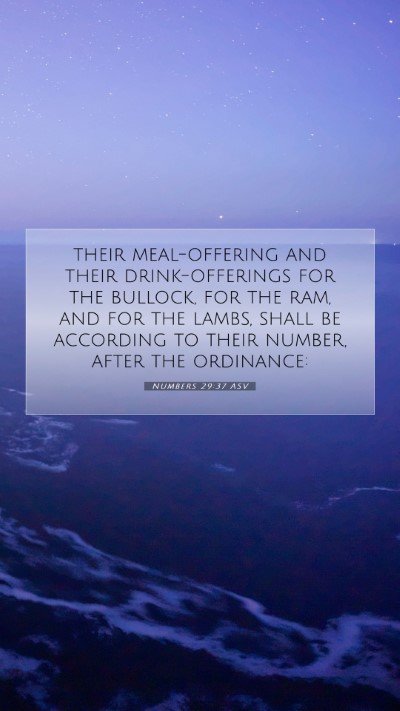 Picture 07 - Numbers 29:37 ASV Mobile Phone Wallpaper - their meal-offering and their drink-offerings for - Mobile Bible Verse Wallpaper