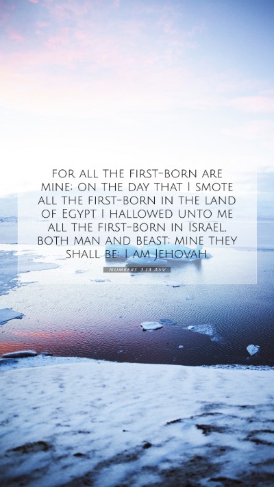 Picture 07 - Numbers 3:13 ASV Mobile Phone Wallpaper - for all the first-born are mine; on the day that - Mobile Bible Verse Wallpaper