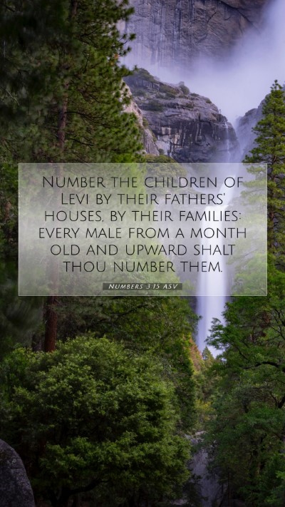 Picture 07 - Numbers 3:15 ASV Mobile Phone Wallpaper - Number the children of Levi by their fathers' - Mobile Bible Verse Wallpaper