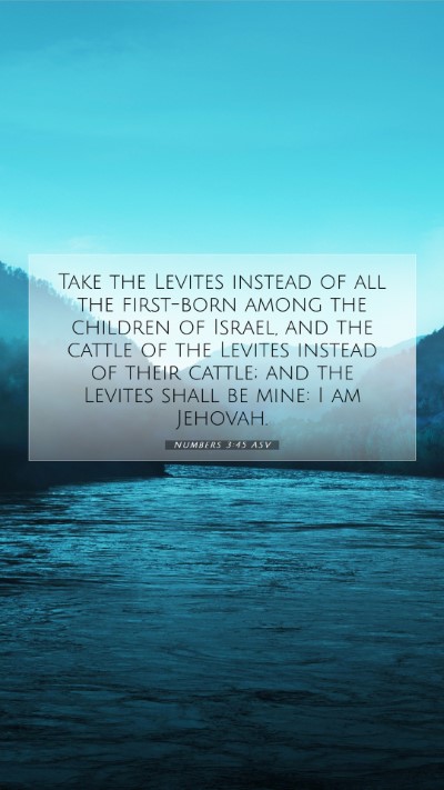 Picture 07 - Numbers 3:45 ASV Mobile Phone Wallpaper - Take the Levites instead of all the first-born - Mobile Bible Verse Wallpaper