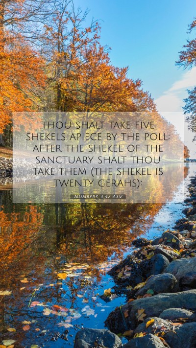 Picture 07 - Numbers 3:47 ASV Mobile Phone Wallpaper - thou shalt take five shekels apiece by the poll; - Mobile Bible Verse Wallpaper