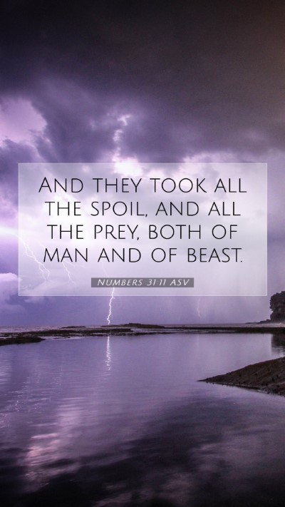 Picture 07 - Numbers 31:11 ASV Mobile Phone Wallpaper - And they took all the spoil, and all the prey, - Mobile Bible Verse Wallpaper