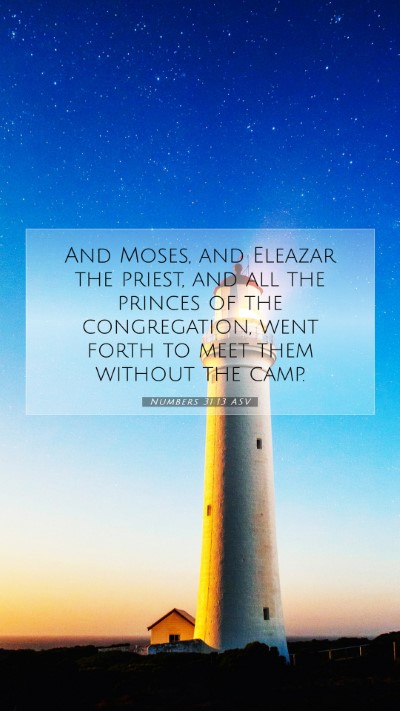 Picture 07 - Numbers 31:13 ASV Mobile Phone Wallpaper - And Moses, and Eleazar the priest, and all the - Mobile Bible Verse Wallpaper