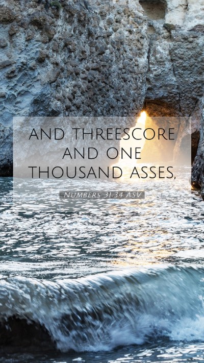 Picture 07 - Numbers 31:34 ASV Mobile Phone Wallpaper - and threescore and one thousand - Mobile Bible Verse Wallpaper