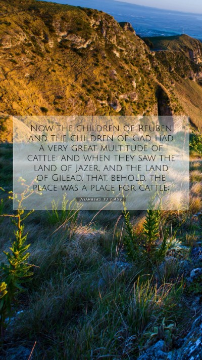 Picture 07 - Numbers 32:1 ASV Mobile Phone Wallpaper - Now the children of Reuben and the children of - Mobile Bible Verse Wallpaper